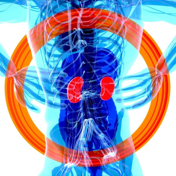 Functional Medicine Hormones Lab Test