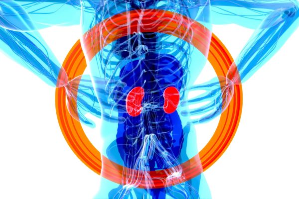 Functional Medicine Hormones Lab Test